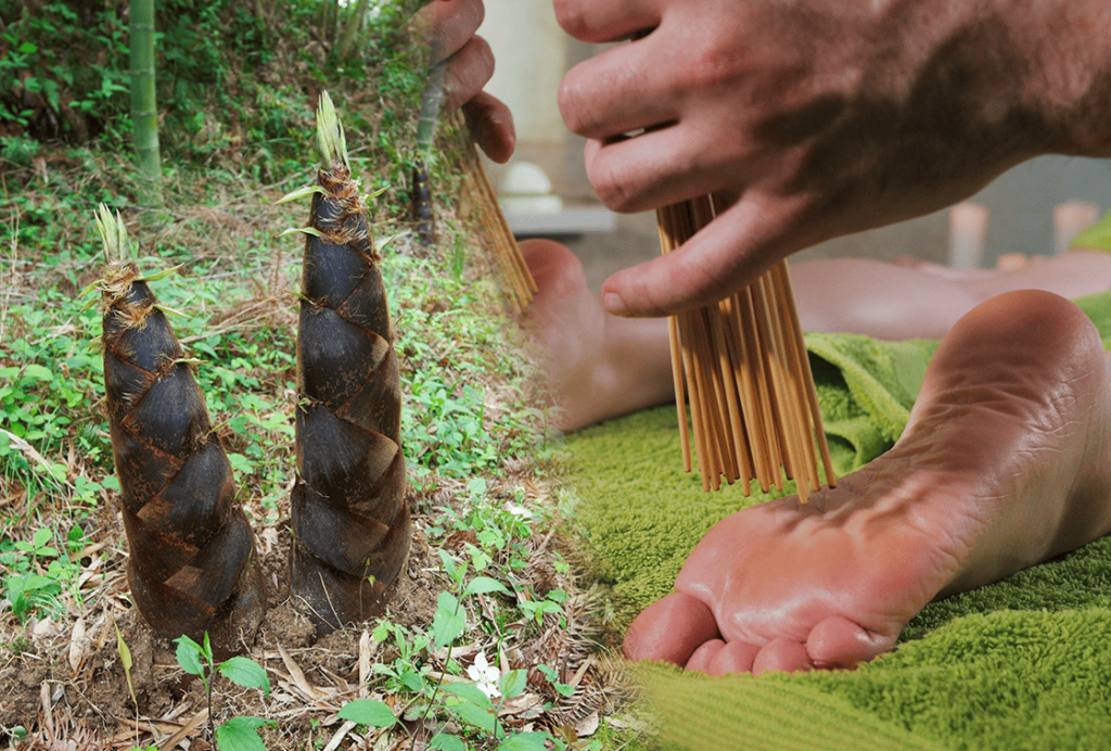 Foot pads based on traditional Japanese medicine